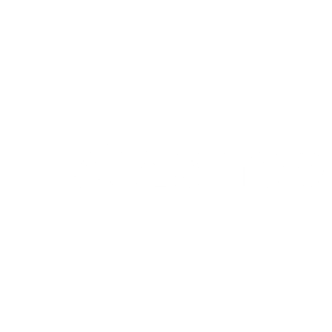 11instashop